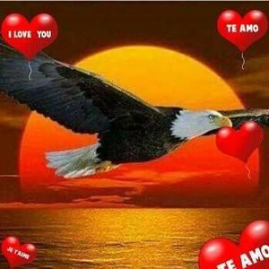 Meet your Posher, Ines