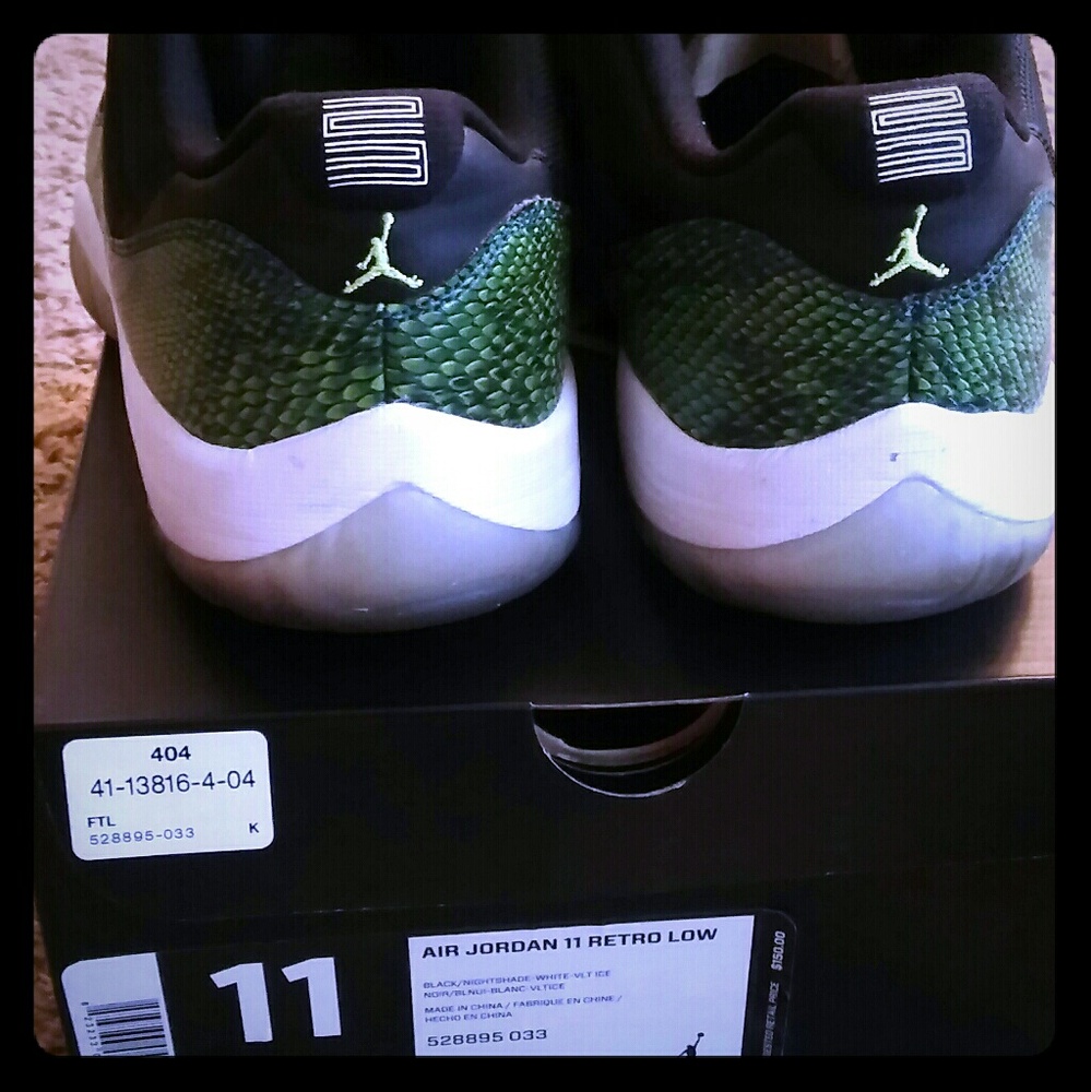 Retro 11 Low SnakeSkin!