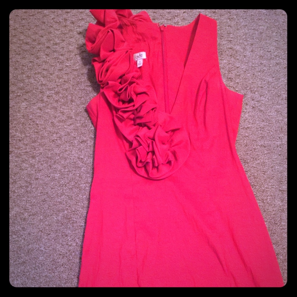 Red stretchy Cache dress