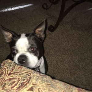 Meet your Posher, Julia