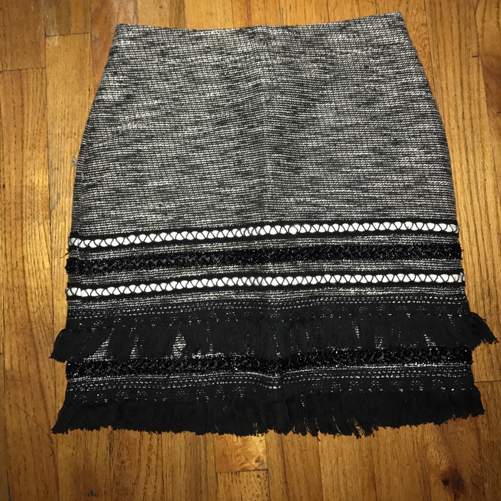 Embroidered and Fringed Skirt
