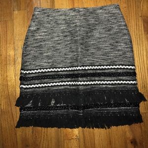 Embroidered and Fringed Skirt