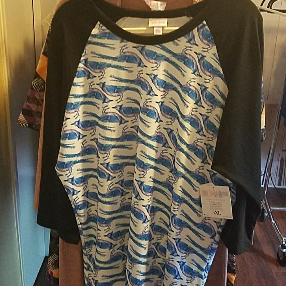 Lularoe 3xl Randy