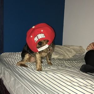 Meet your Posher, Drew