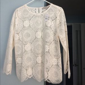 NWT Loft lace top