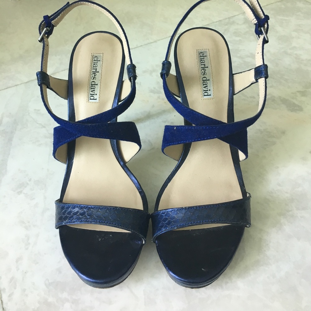 Charles David Blue Heel Sandals