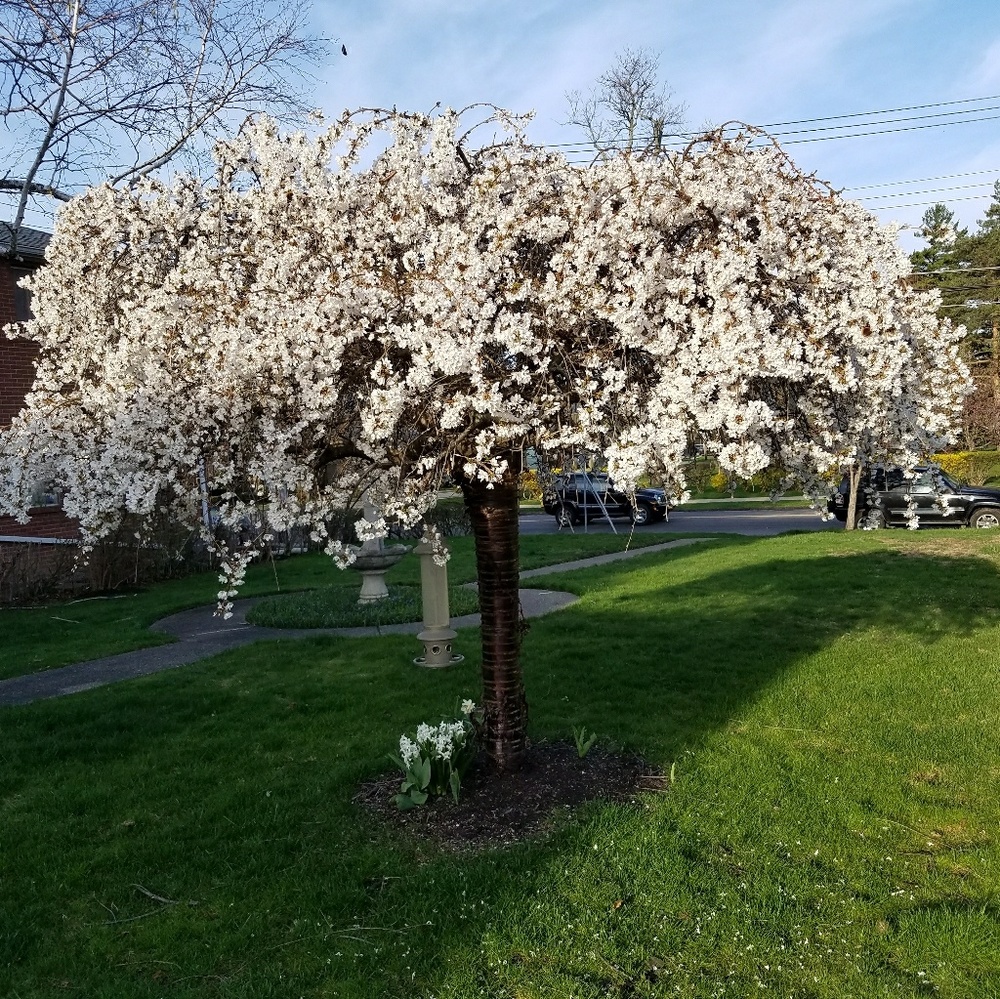 Meet your Posher, Tina