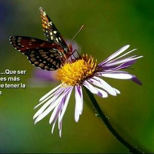 Meet your Posher, Marta