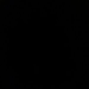 Meet your Posher, Lisha