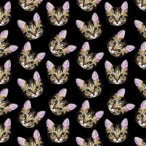 Meet your Posher, Alexson