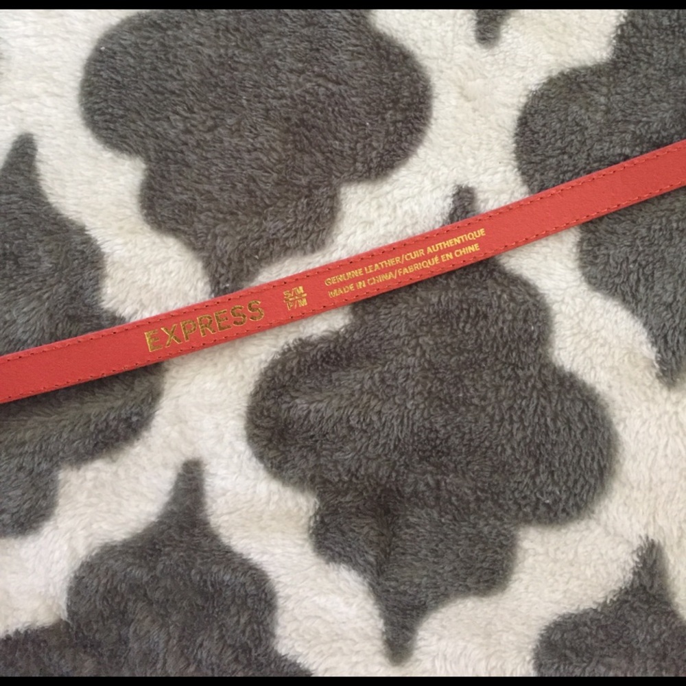 [Express] Belt - Picture 2 of 2