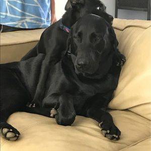 Meet your Posher, Sara