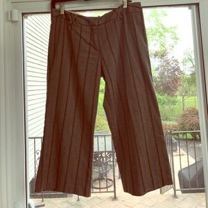 Brown Shin Length Pants