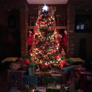 Meet your Posher, Anu