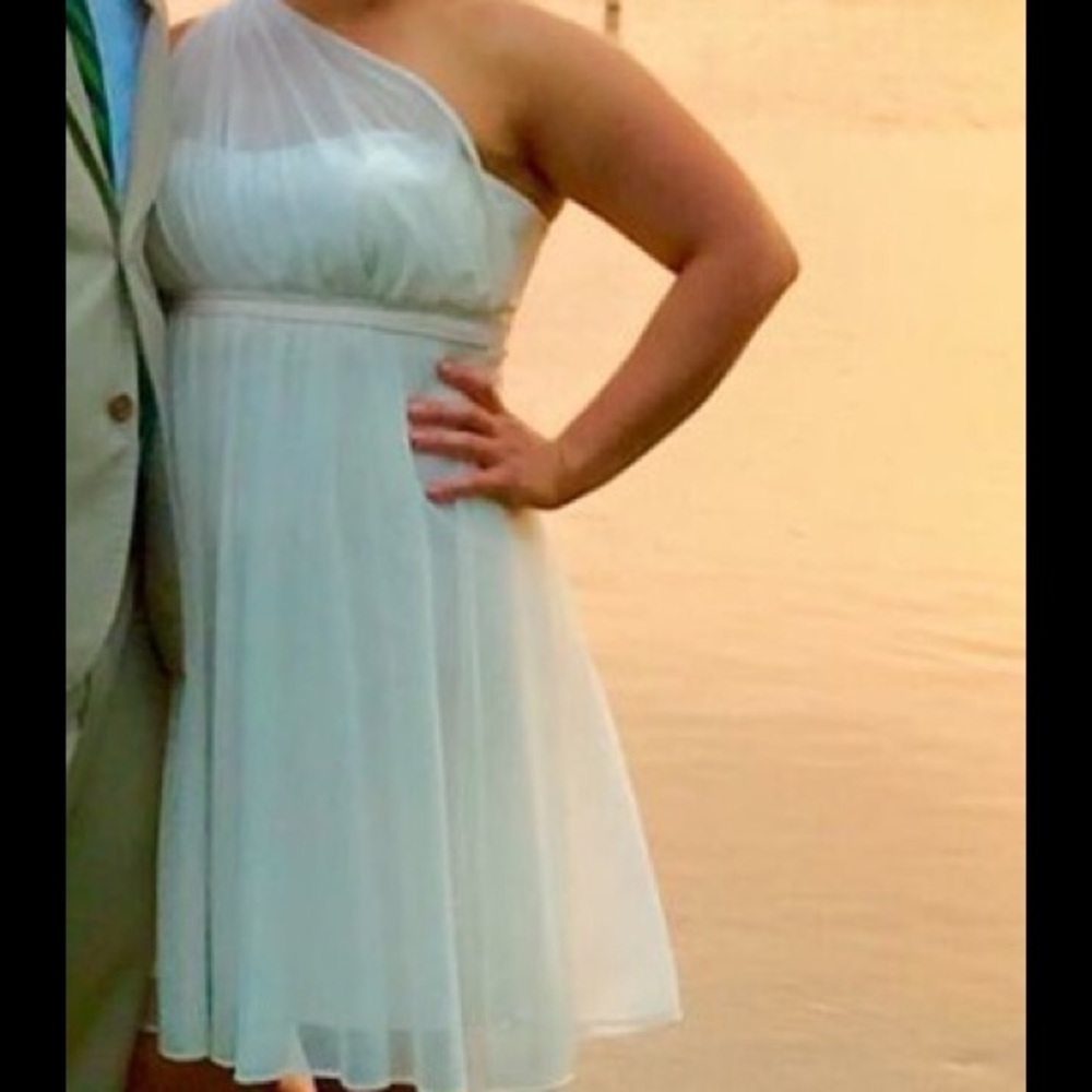Davids Bridal bridesmaids dress