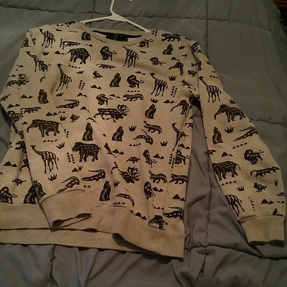 Thin pullover sweatshirt