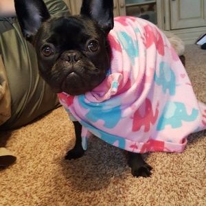 Meet your Posher, Ashton