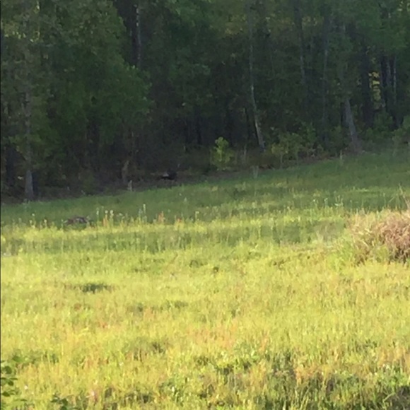 Meet your Posher, Jason - Picture 1 of 1