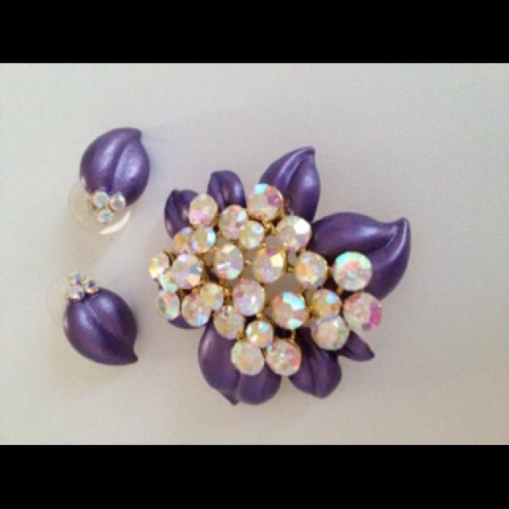 🎉SALE❗️ Pin & Earring Set
