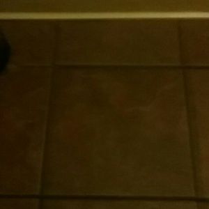 Meet your Posher, Jarrell