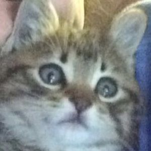 Meet your Posher, Gabrielle