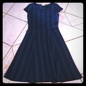 London Times sweater dress