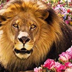 Meet your Posher, Alberto