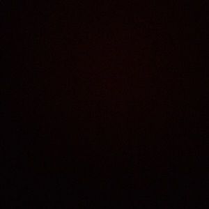 Meet your Posher, Darcy