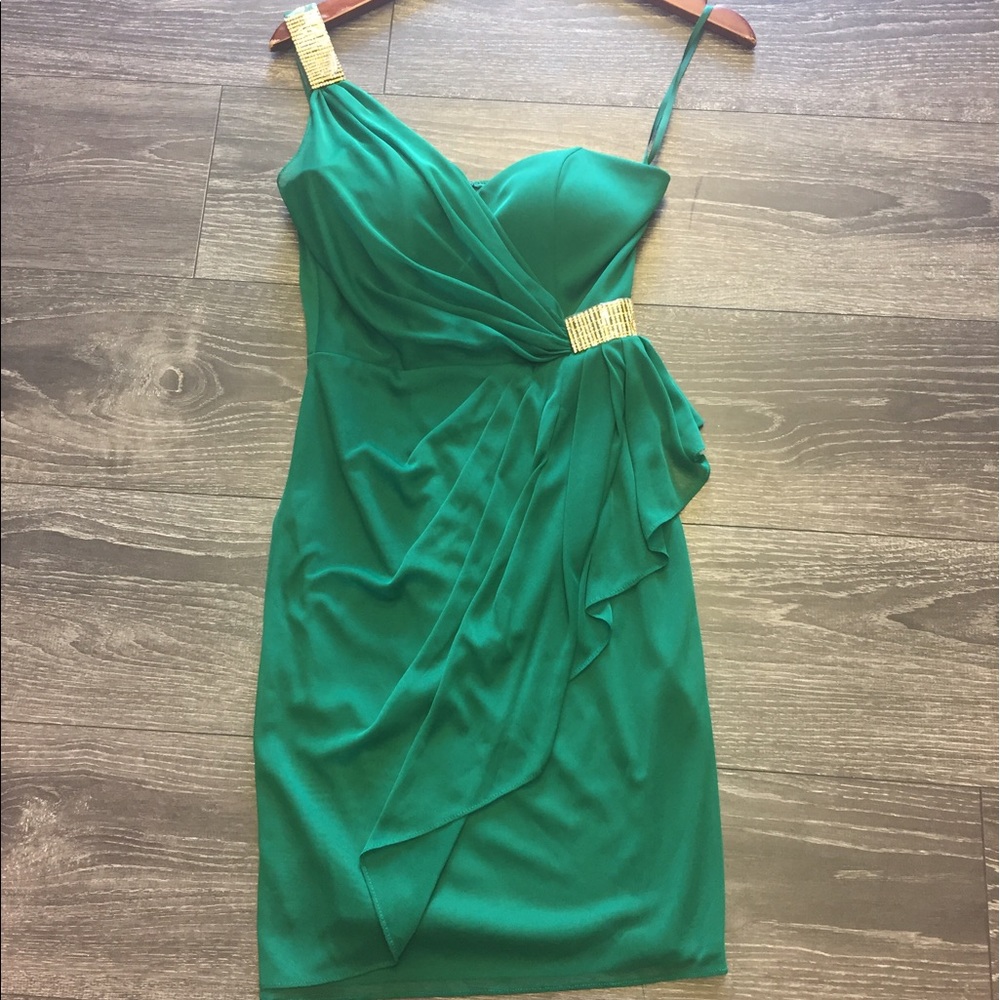 Cache Green dress