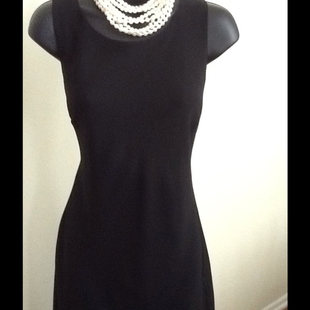 Perfect Little Black Dress w/Chiffon Hem Dress