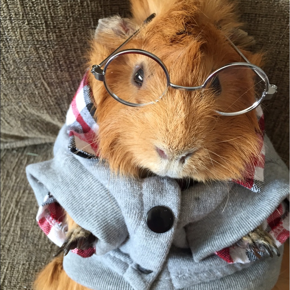 Meet your Posher, Cheryl