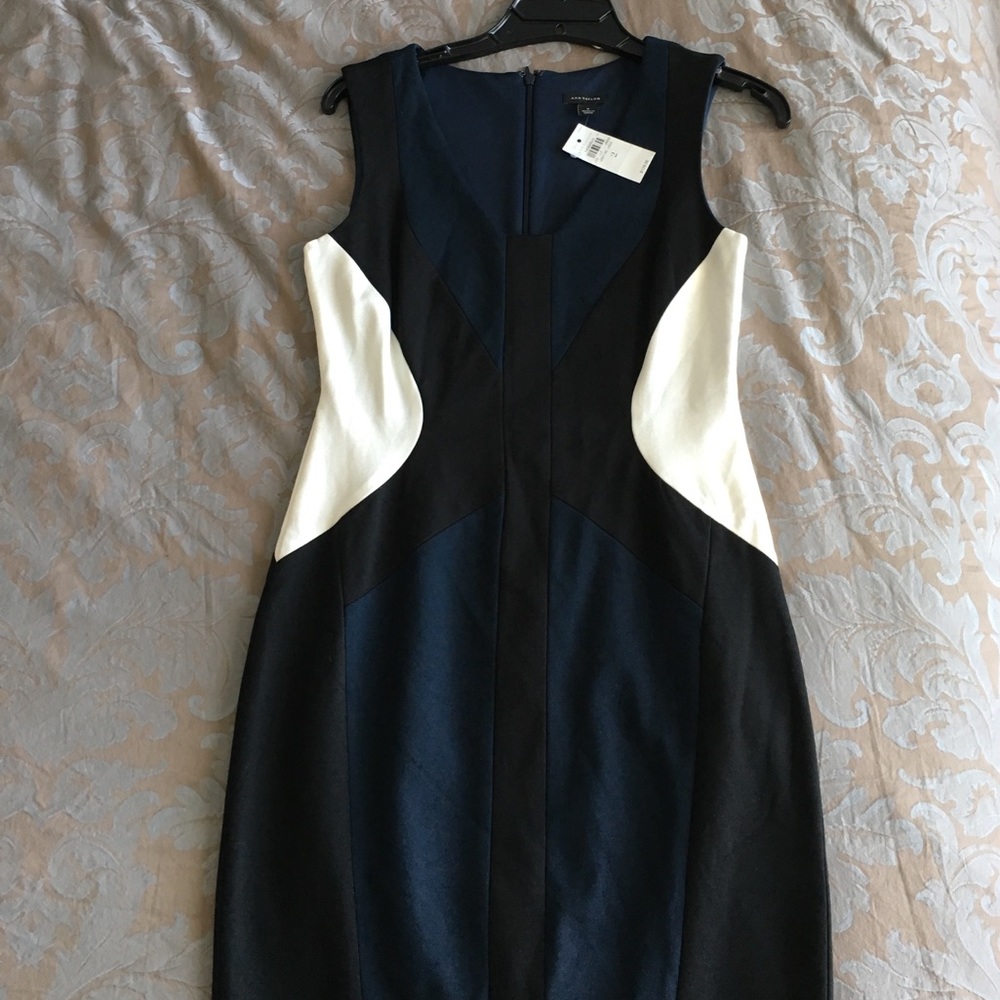 Ann Taylor Dress