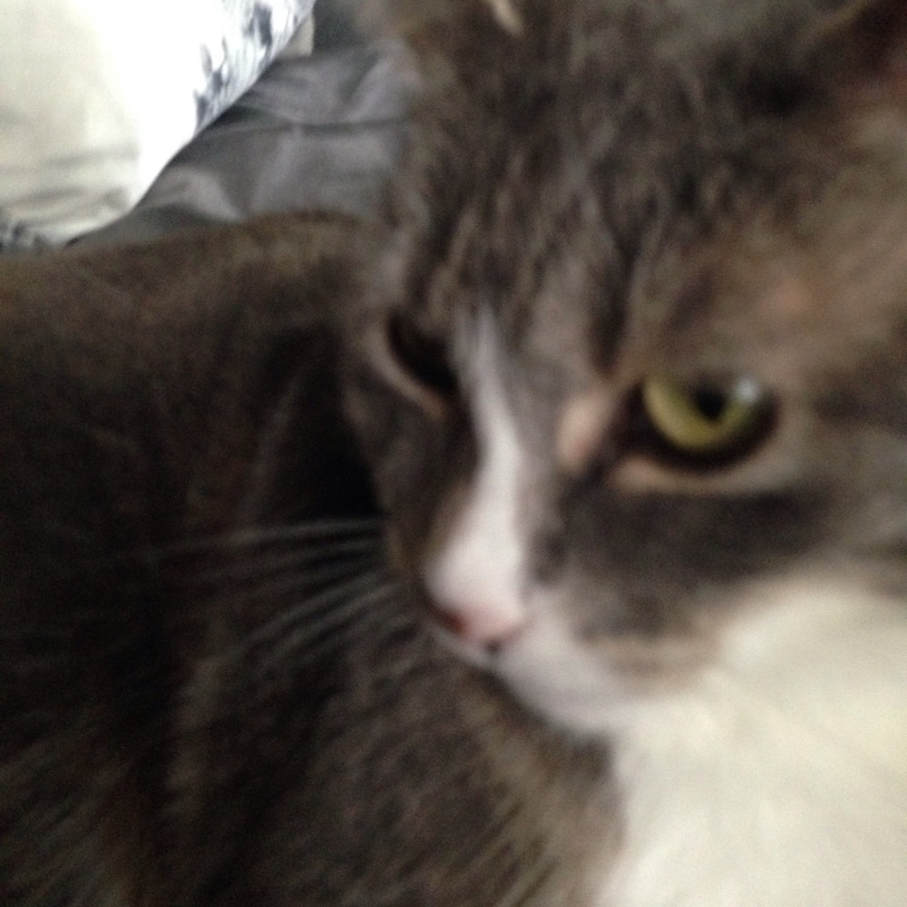 Meet your Posher, Chris