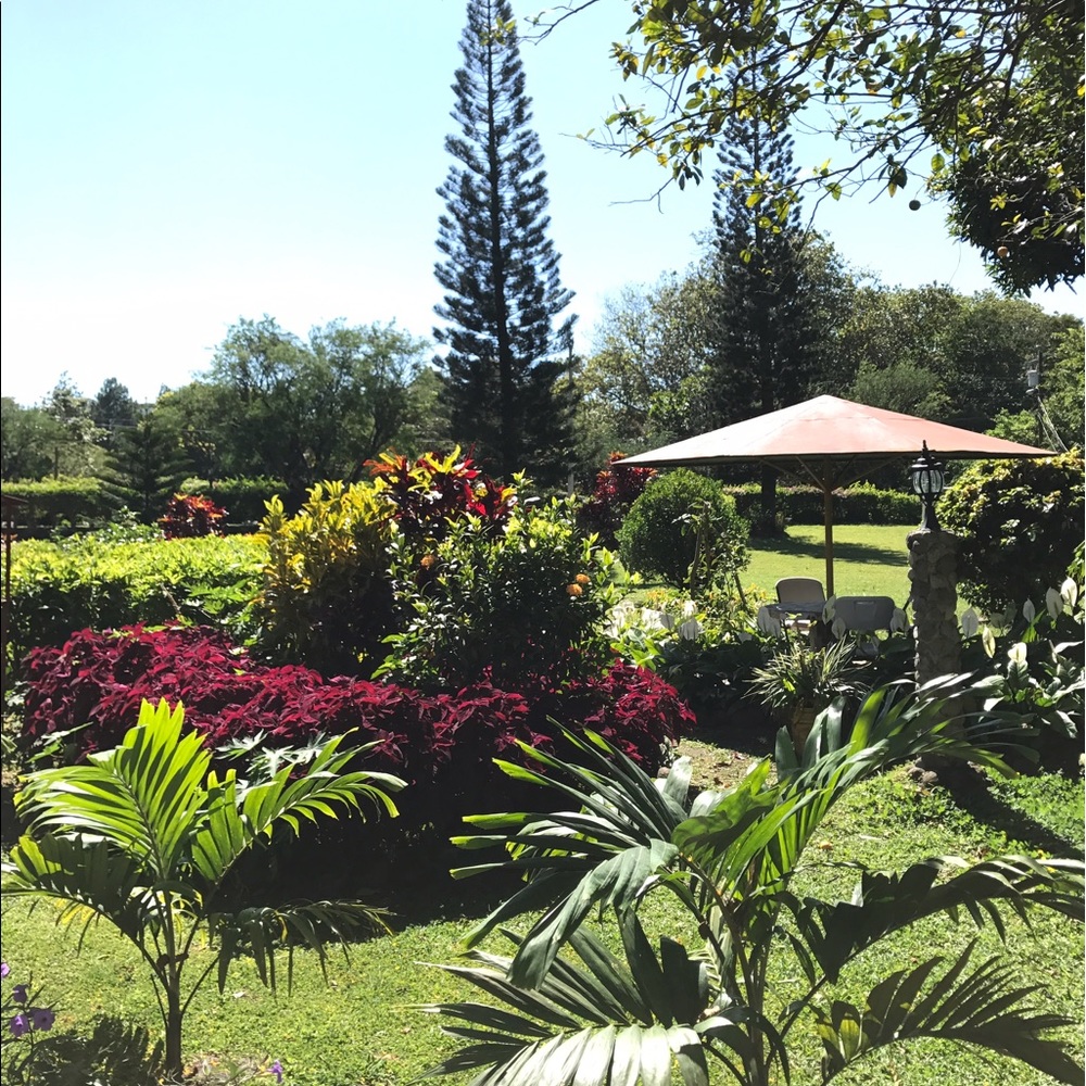 Meet your Posher, Delaney