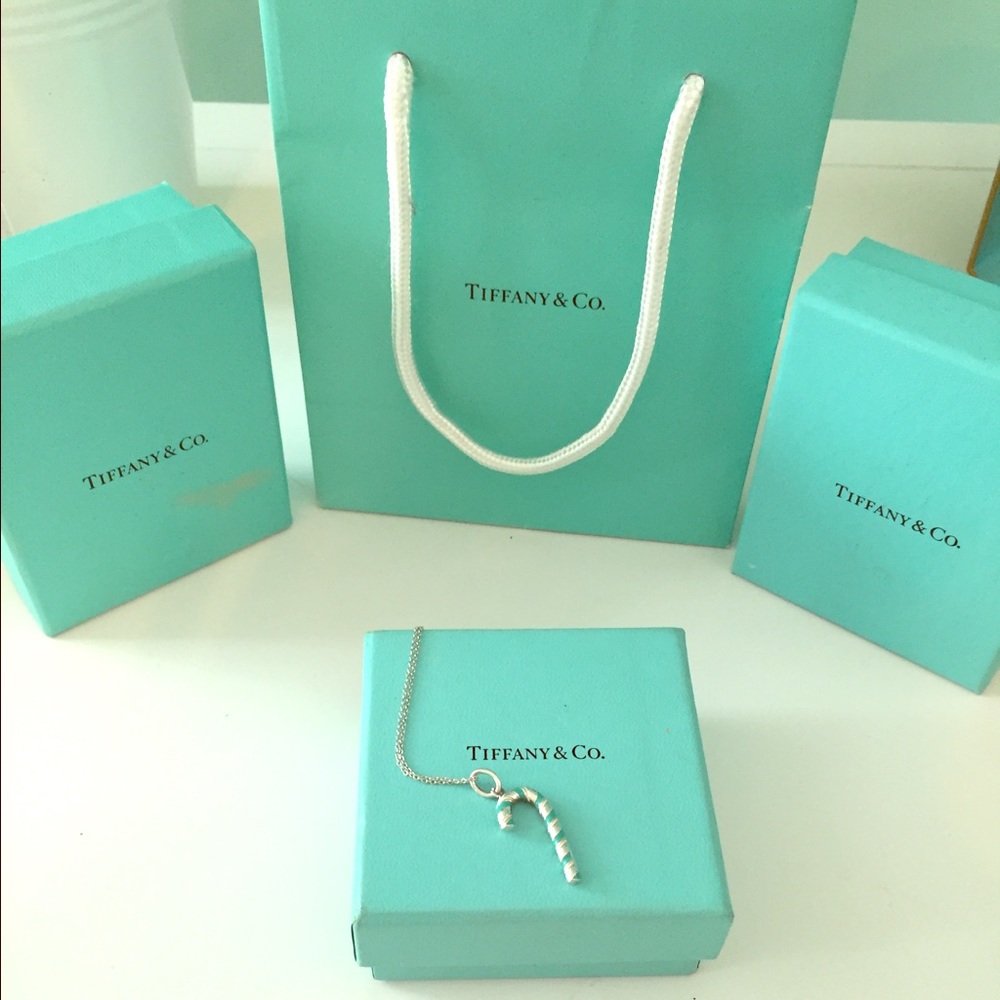 100% Authentic Tiffany & Co. Silver Necklace