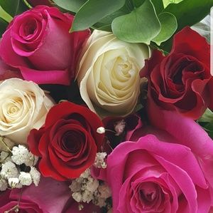 Meet your Posher, Tina