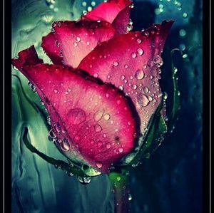 Meet your Posher, Princess