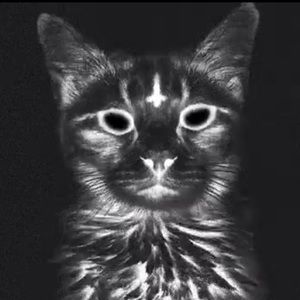 Meet your Posher, Troy