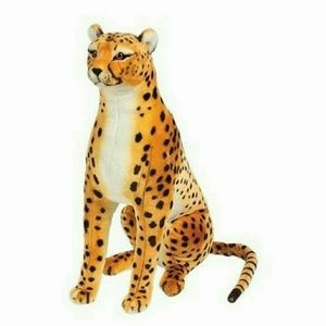 Meet your Posher, Corie