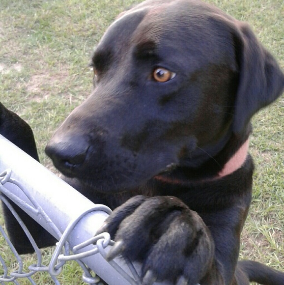 Meet your Posher, Lejoyce - Picture 6 of 7