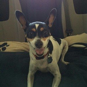 Meet your Posher, Cameron