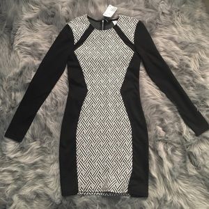 NWT Fitted Jersey Dress