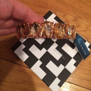 Gorgeous Rose Gold Statement Bracelet NWT Gorgeous Rose Gold Statement Bracelet NWT