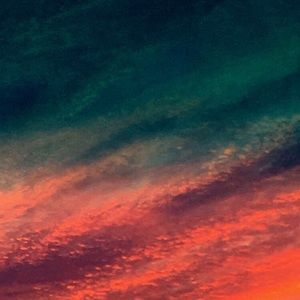 Meet your Posher, Ellie