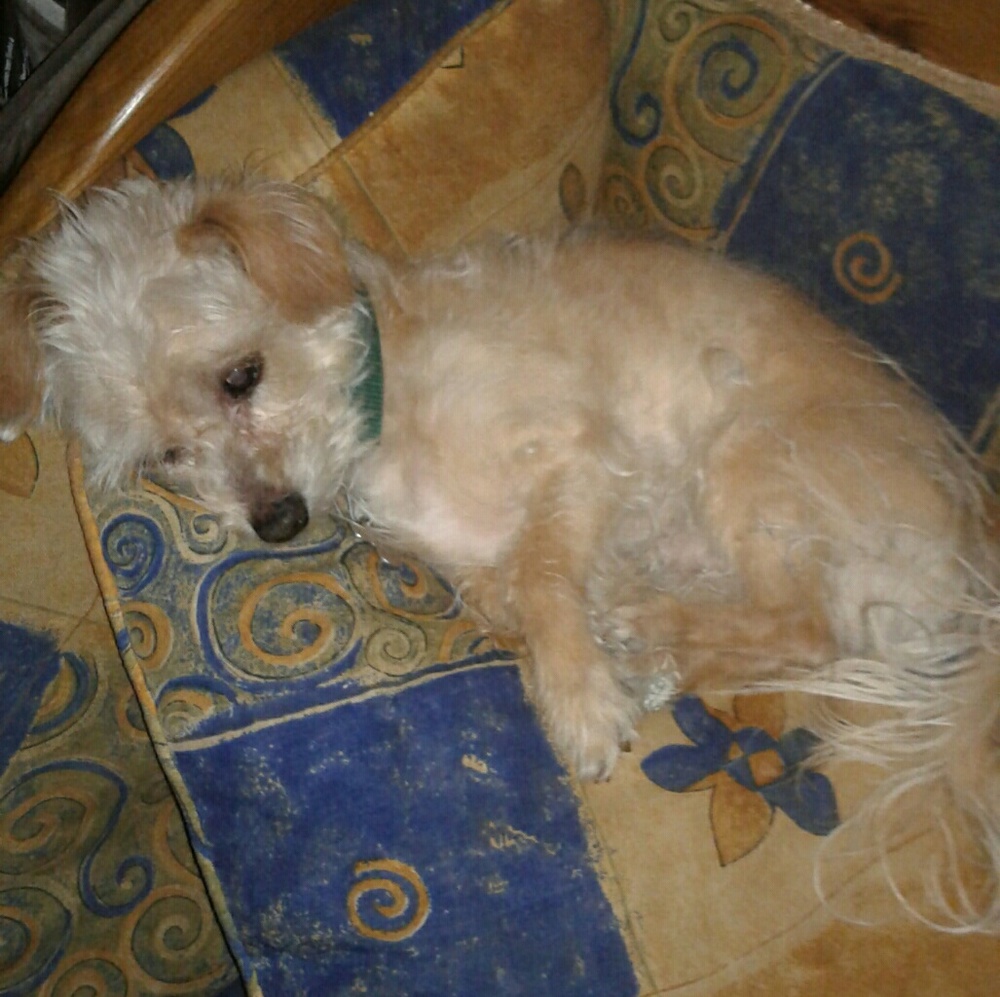 Meet your Posher, Bianca