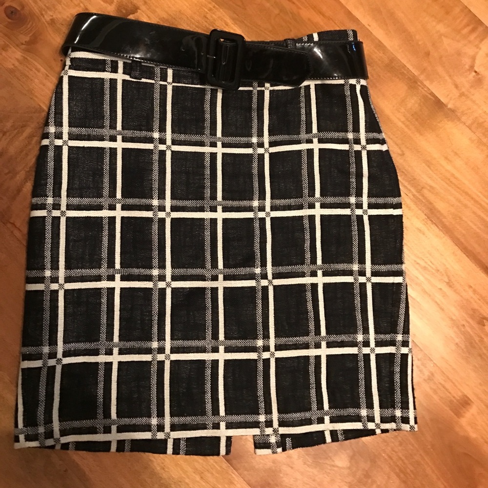 Ann Taylor skirt