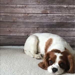 Meet your Posher, Beth