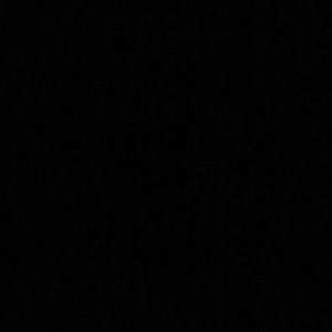 Meet your Posher, Dante