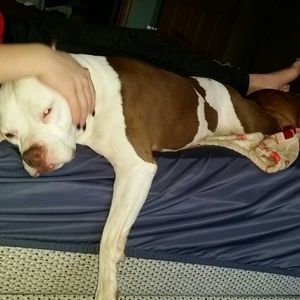 Meet your Posher, Annette