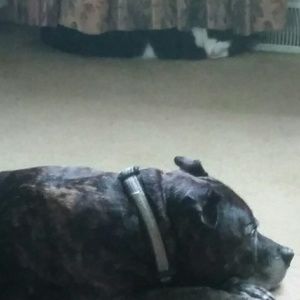 Meet your Posher, Amber